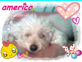 america
